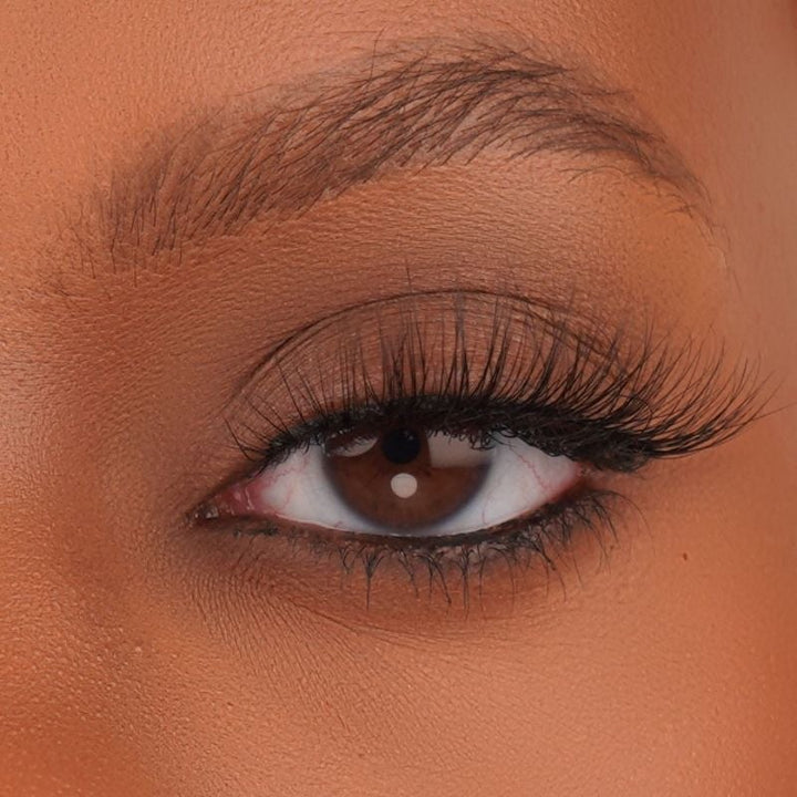 amelia lash